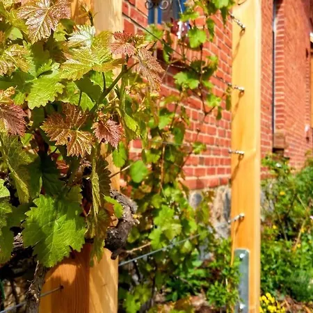 Alte Schule Schorfheide شقة كورين