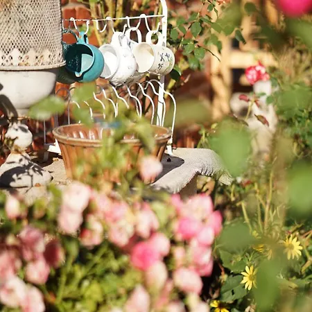 Apartmán Alte Schule Schorfheide *