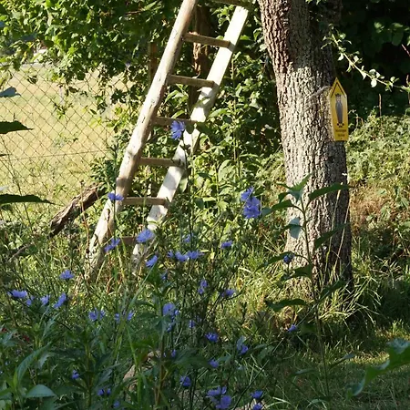 Alte Schule Schorfheide * Chorin