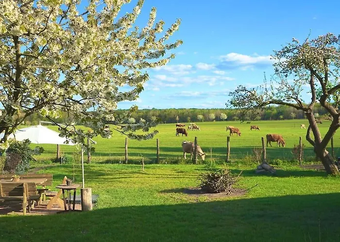 Lägenhet Alte Schule Schorfheide