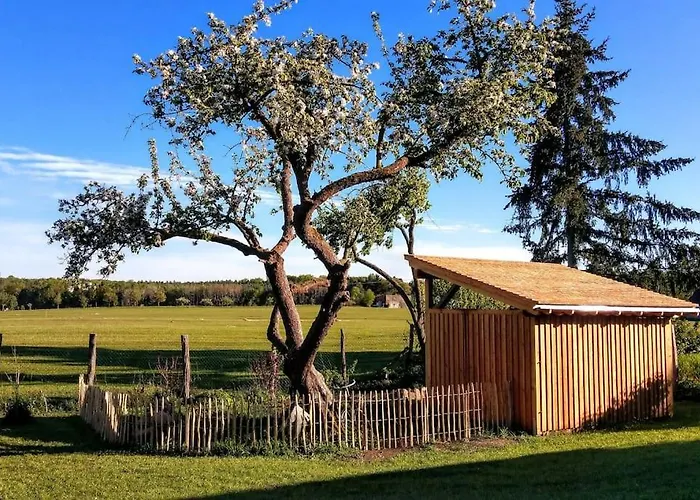 Lägenhet Alte Schule Schorfheide *