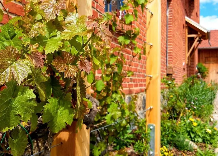 Alte Schule Schorfheide Lägenhet Chorin