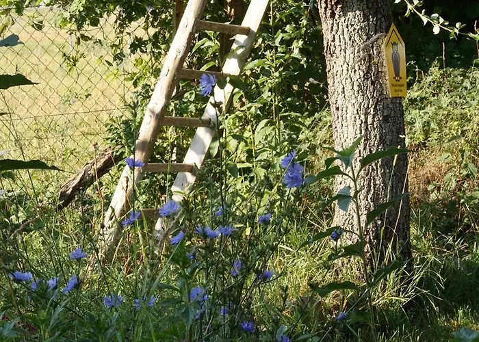 Alte Schule Schorfheide * Chorin